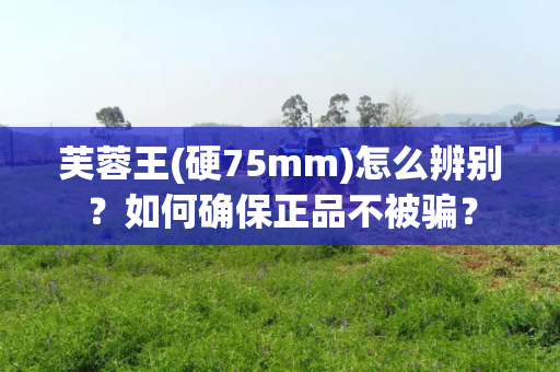芙蓉王(硬75mm)怎么辨别？如何确保正品不被骗？